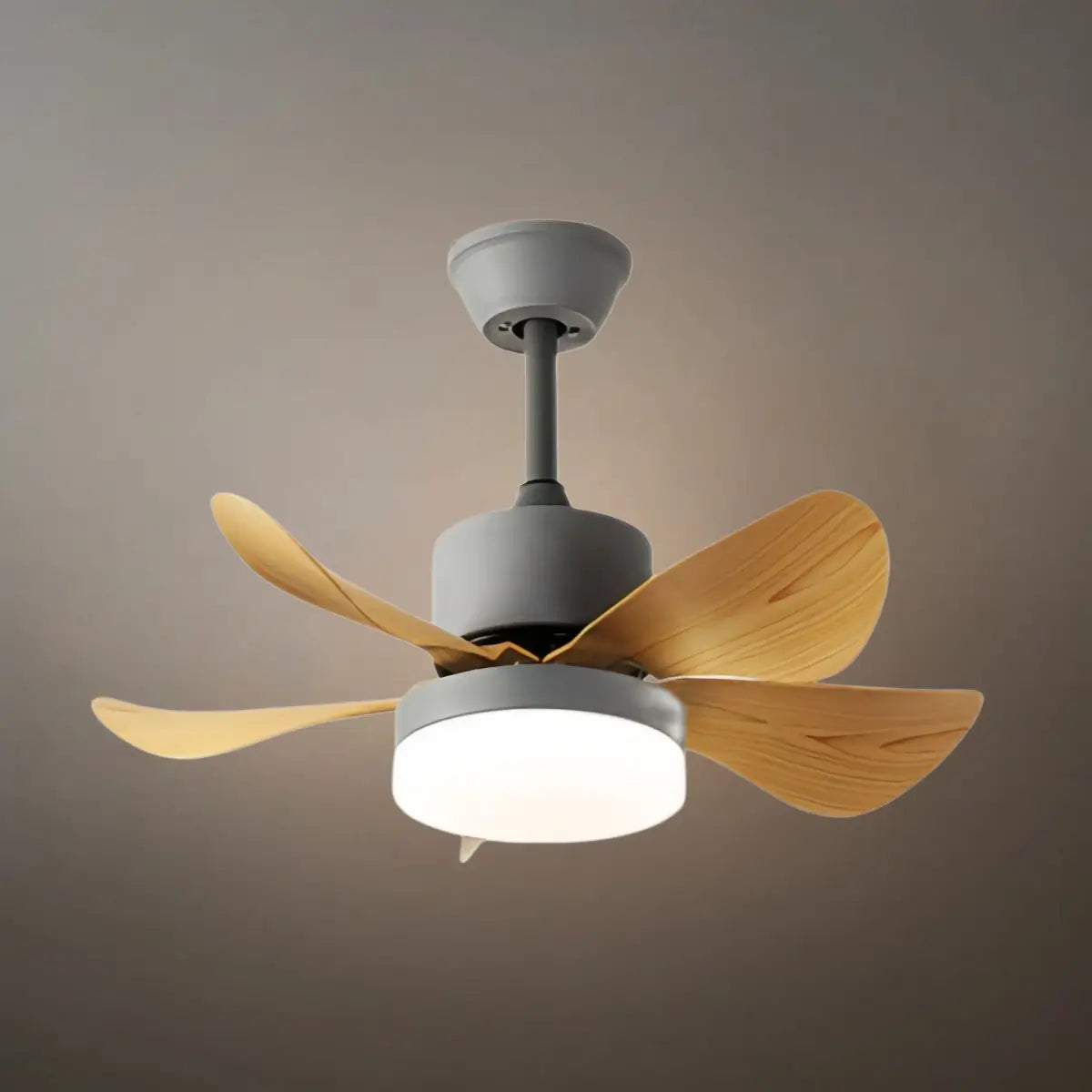 Zenno Minimalist Ceiling Fan Light