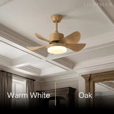Zenno Minimalist Ceiling Fan Light