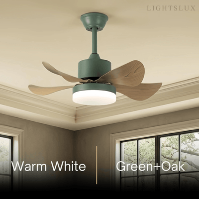 Zenno Minimalist Ceiling Fan Light