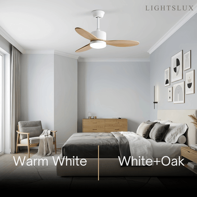 Vivara  Minimalist Ceiling Fan Light