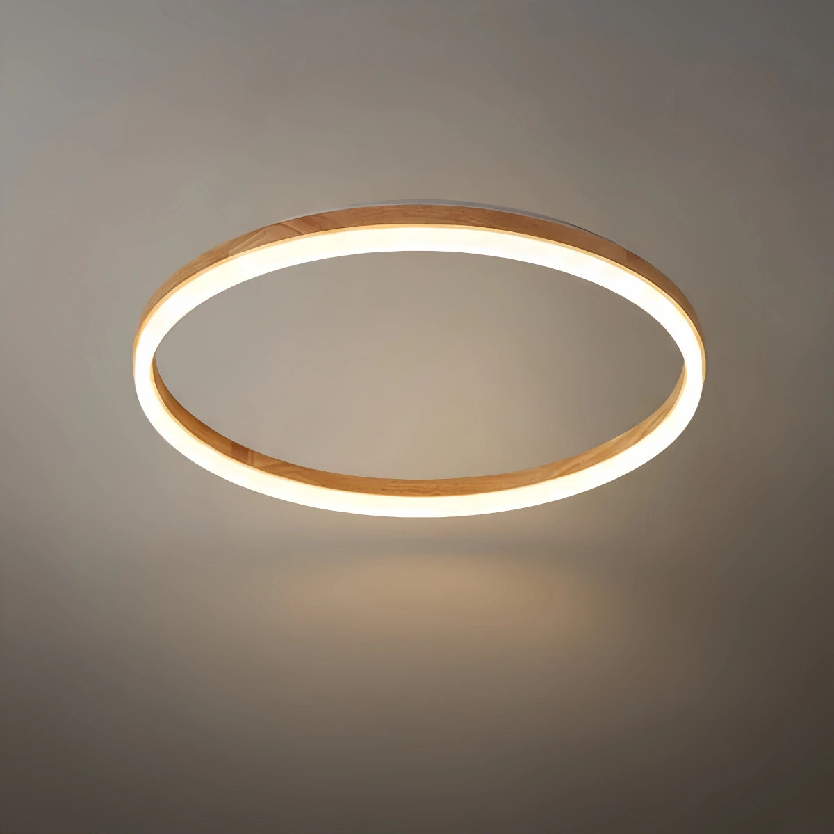 Zenno Minimalist Ring Dimmable Flush Mount Ceiling Light