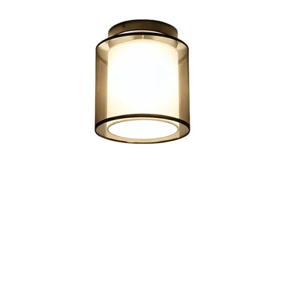 Modern_Flush_Mount_Ceiling_Light