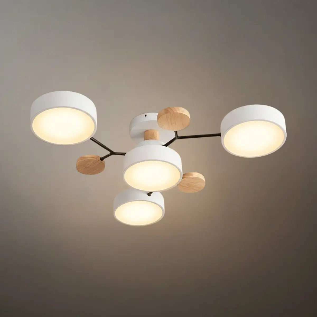 Modern_Round_Ceiling_Light