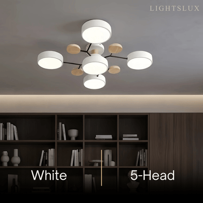 Modern_Round_Ceiling_Light